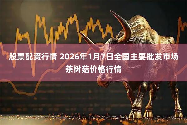 股票配资行情 2026年1月7日全国主要批发市场茶树菇价格行情