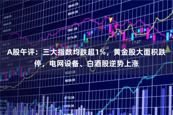 A股午评：三大指数均跌超1%，黄金股大面积跌停，电网设备、白酒股逆势上涨