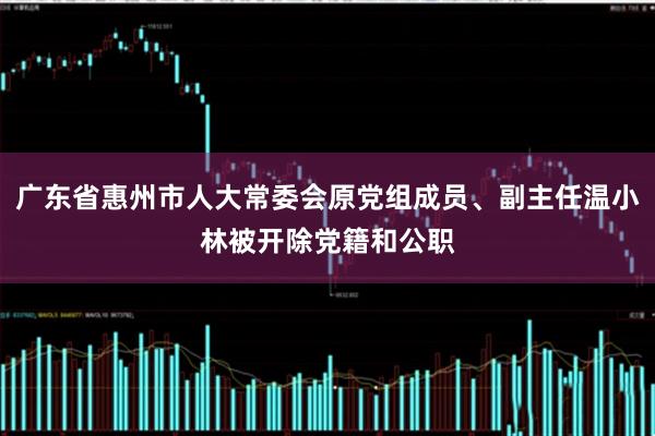 广东省惠州市人大常委会原党组成员、副主任温小林被开除党籍和公职